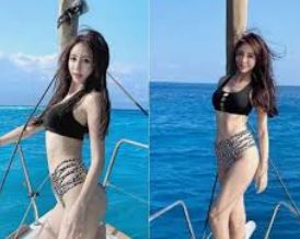 介绍内容